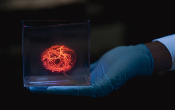 Вчені зможуть друкувати мережі кровоносних судин для штучних органів