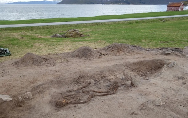 У Норвегії виявили 1000-річне поховання жінки-вікінга з її собакою