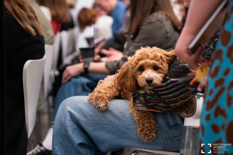 Що не так із «Книжковим Арсеналом»? Капранов розкритикував організаторів