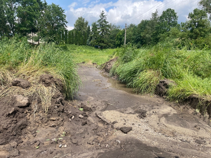 Смерч на Тернопільщині: дахи літали, повалені дерева падали на будинки (ФОТО, ВІДЕО)