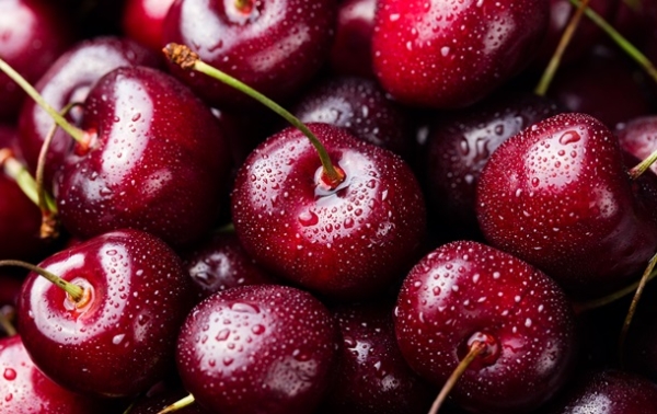 В Україні знижуються ціни на черешню В Україні знижуються ціни на черешню