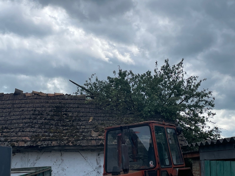 Смерч на Тернопільщині: дахи літали, повалені дерева падали на будинки (ФОТО, ВІДЕО)