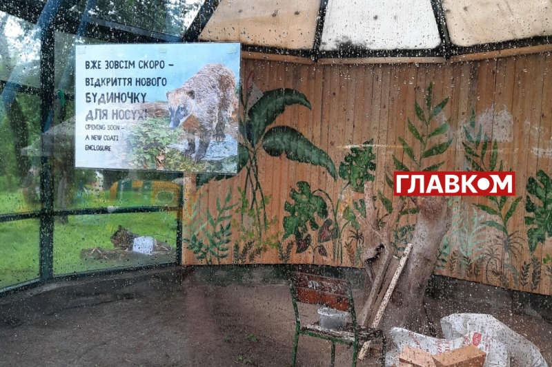 Хто купає слона і що робити, коли у бегемота нема настрою? Ранкова прогулянка київським зоопарком