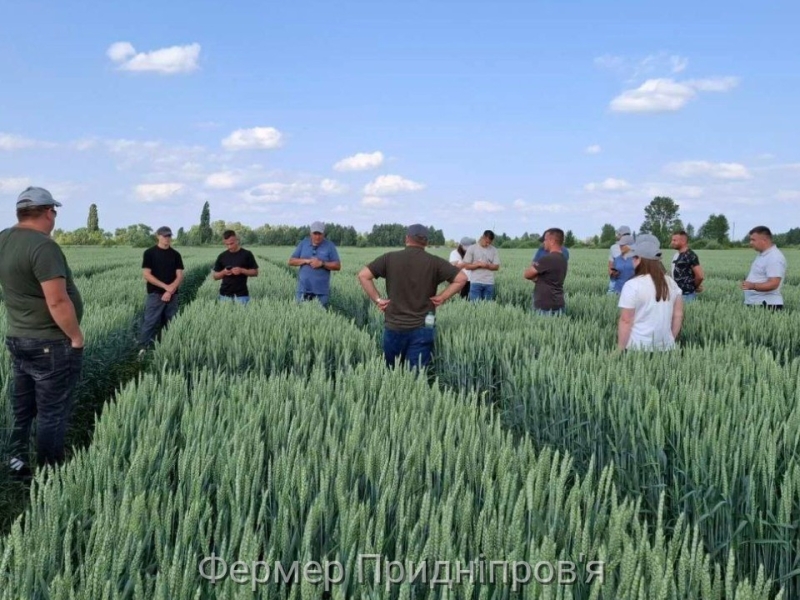 Agro Region розвиває власні дослідження для підбору оптимальних культур