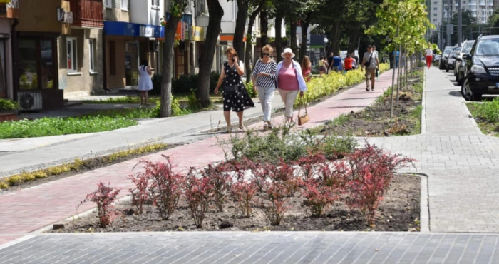 &laquo;Багаторічники - прикраса міста в будь-яку пору року&raquo;: в Луцьку урбаністи говорили про озеленення