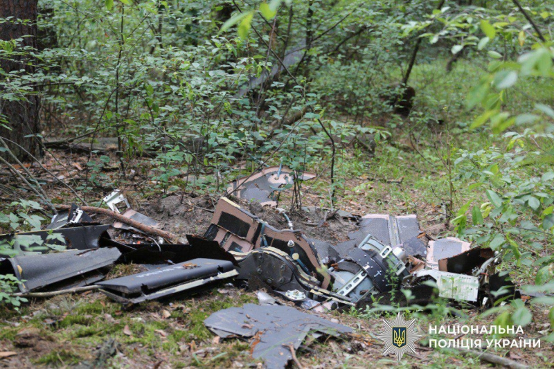 Могли вибухнути будь-якої миті: два «шахеди» виявлено у лісі під Києвом