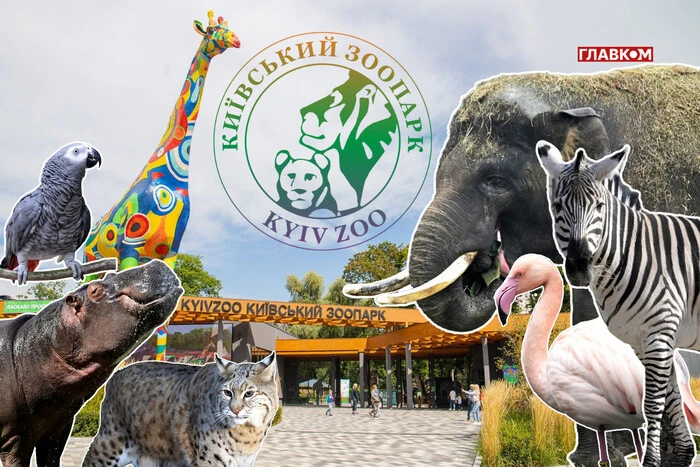 Хто купає слона і що робити, коли у бегемота нема настрою? Ранкова прогулянка київським зоопарком