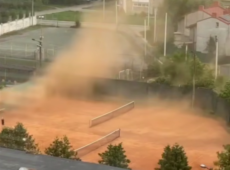 В Івано-Франківську на тротуар буревій повалив дерево: вітер не стихає (ФОТО)