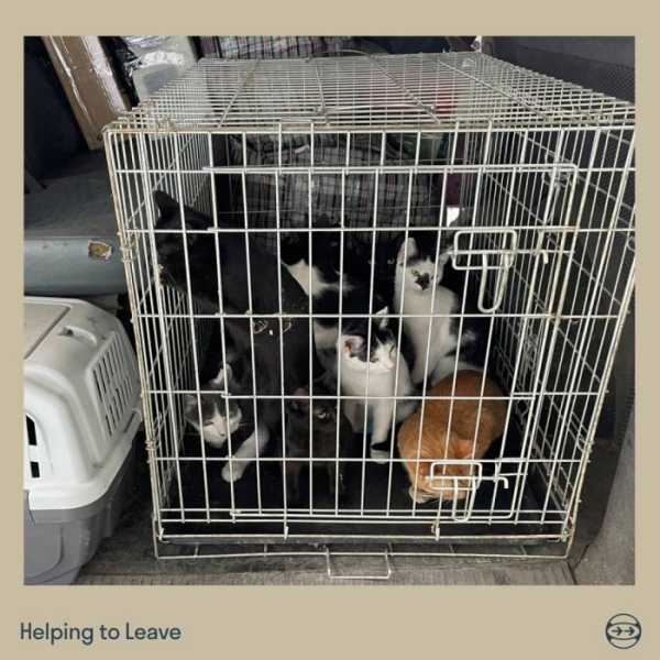 Допомогли десяткам тисяч українців виїхати з окупації: як працюють міжнародні волонтери