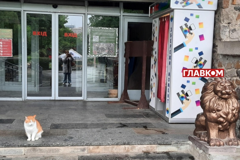 Хто купає слона і що робити, коли у бегемота нема настрою? Ранкова прогулянка київським зоопарком