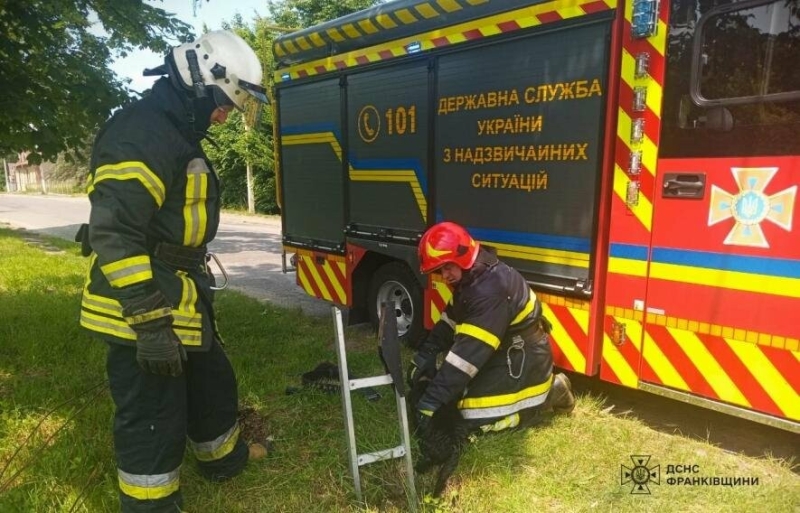 Операція порятунку: пес із Долини опинився на дні колодязя (ФОТО)