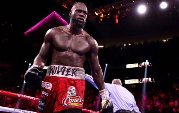 Вайлдер успішно повернувся в ринг після річної перерви