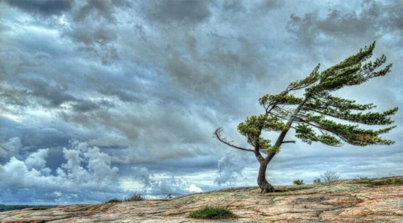 Готуйтеся до поривів: Миколаївщина на жовтому рівні небезпеки