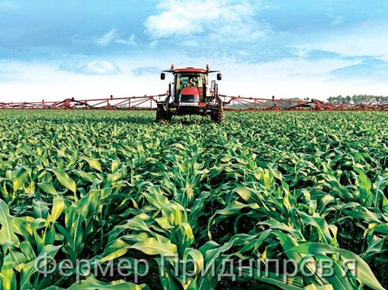 Канадський проєкт HONOR сприятиме розвитку агрокооперативів та підприємництва жінок в Україні