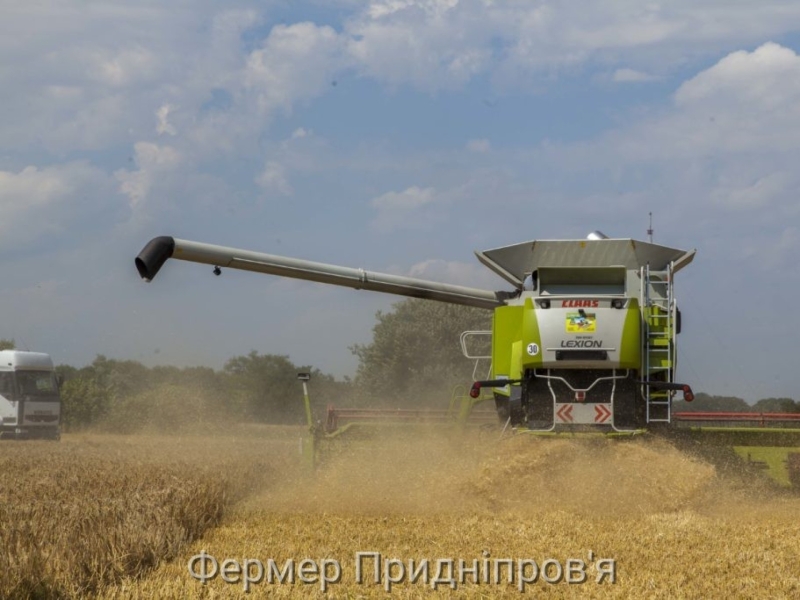 На Миколаївщині почали збирати ячмінь