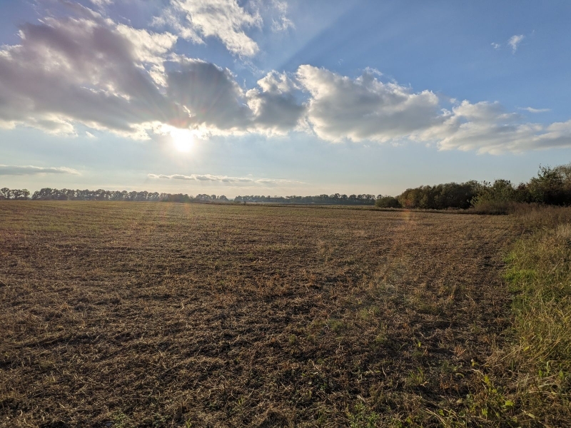 Переоформляти чи не переоформляти спадкоємцю землю на себе