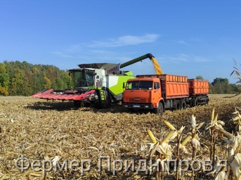 Продавці пального чекають на жнива