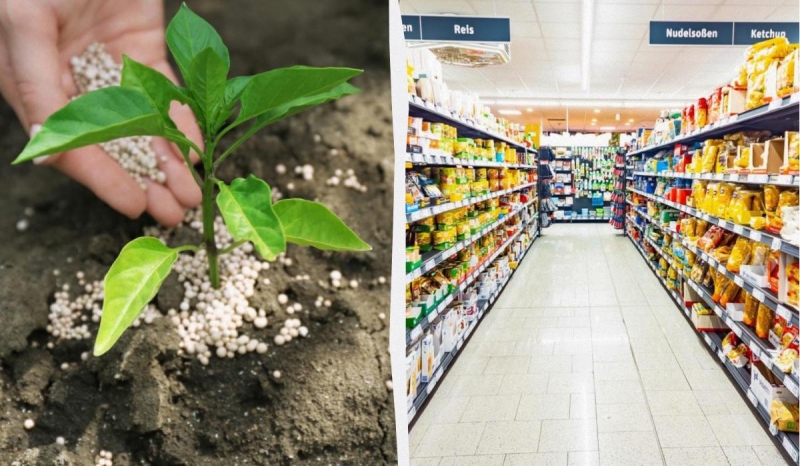 Ситуація на Близькому Сході може спричинити різке зростання цін на продукти, - FT