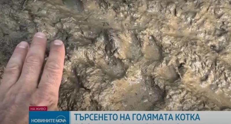 У горах Болгарії блукає чорний леопард: небезпечну ділянку перекрили, розставили пастки, тварину шукають 100 поліцейських і мисливців