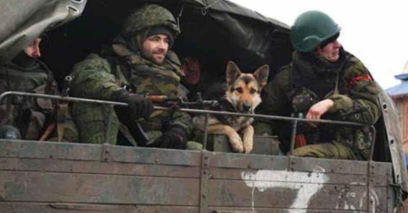 Ворог пробує кидати “нове мʼясо” на Сумщину – ЦПД