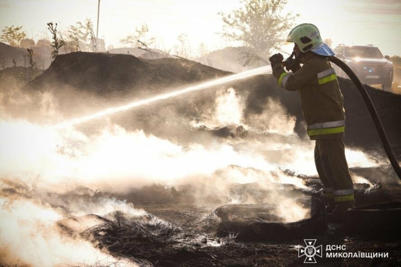 Згоріли будівлі, врожай і ліс: Миколаївщина у полум&rsquo;ї за один день, - ФОТО, ВІДЕО