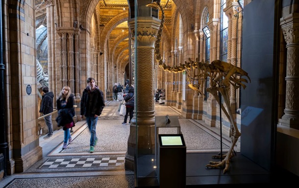 Науковці хочуть оживити птаха, що вимер 600 років тому