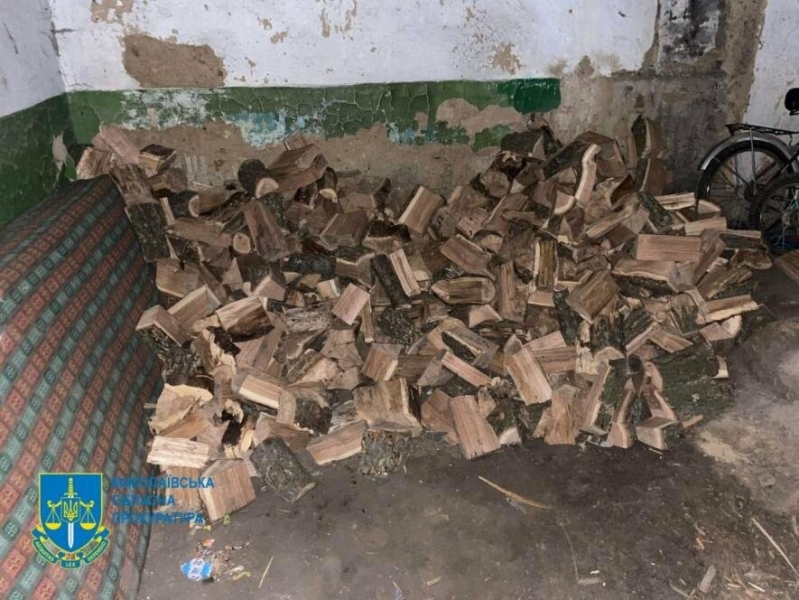 1,7 мільйона гривень збитків: п&rsquo;ятеро мешканців Миколаївщини постануть перед судом за нищення лісу, - ФОТО