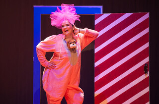 На 43-му році пішла з життя актриса театру Франка