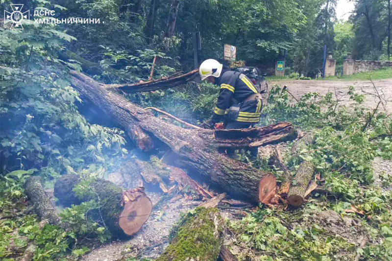 Сильні дощі та вітер наробили лиха у чотирьох областях України (фото)