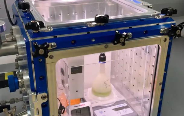 Вчені виростили водорості в умовах Марса