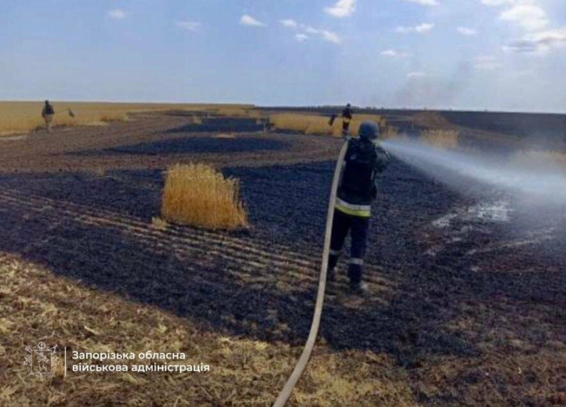 Через обстріл у Запорізькій області згоріло 20 га пшениці
