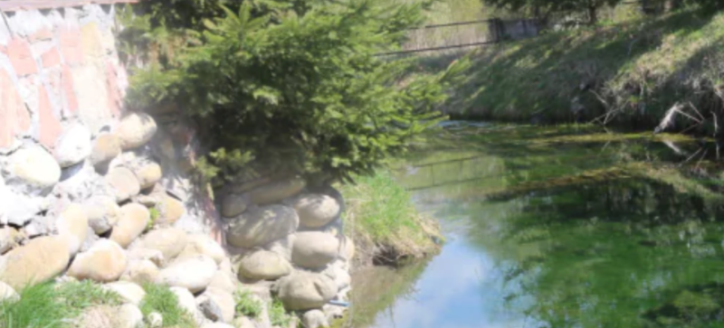 Зелена вода у Коломиї, червона у Вовчинці: що відбувається з водоймами на Франківщині? (ВІДЕО)