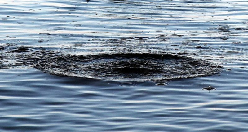 Смертельно небезпечне літо: влада Прикарпаття закликає не купатися в недозволених місцях