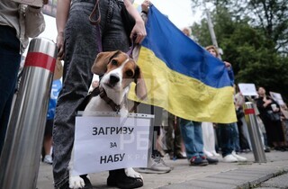 У Маріїнському парку люди вийшли на підтримку законопроєкту про незалежність НАБУ і САП