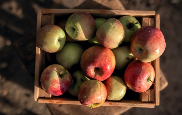 В Україні спрогнозували подальше зростання цін на яблука