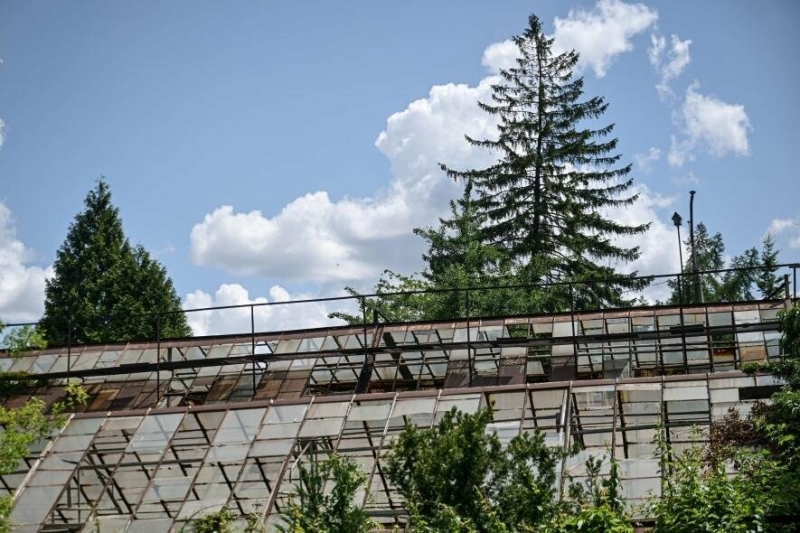 Розбиті теплиці та купа скла в землі: запорізький ботанічний сад оговтується після атаки БпЛА, - ФОТОРЕПОРТАЖ