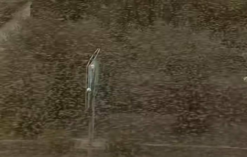 "Восьма кара над Україною?": одна з найненажерливіших істот на Землі загрожує вже всім областям України (ВІДЕО)