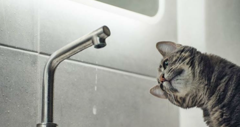 Води не буде до вечора: перелік вулиць на Дружбі, де тривають роботи