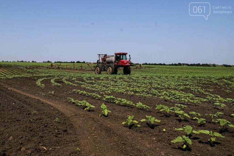 На Запоріжжі після ракетного удару агропідприємство зобов’язали через суд сплатити за землю