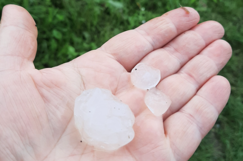 Град розтрощив городину, дощ затопив вулиці: село на Тернопільщині опинилося в епіцентрі бурі (ФОТО)