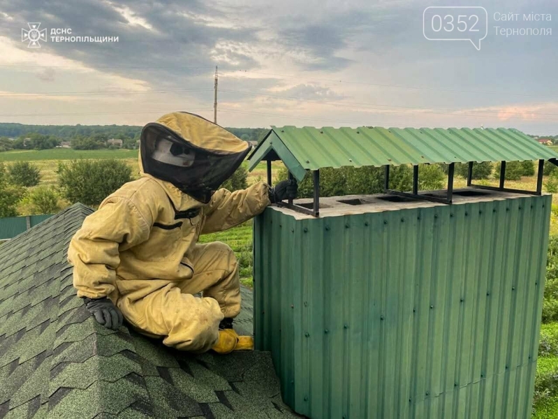 Не доба, а пекло: в ДСНС показали, як 24/7 рятували мешканців Тернопільщини (ФОТО)