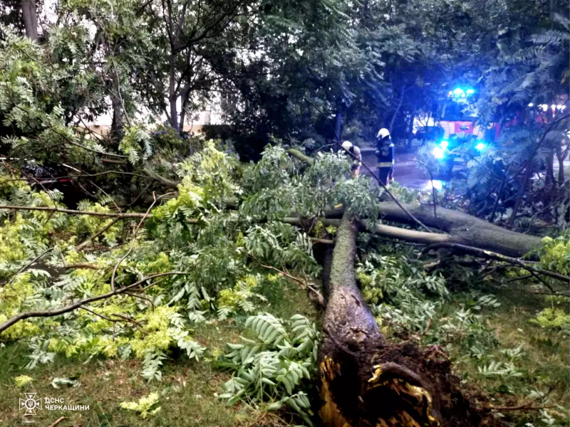 Сильні дощі та вітер наробили лиха у чотирьох областях України (фото)