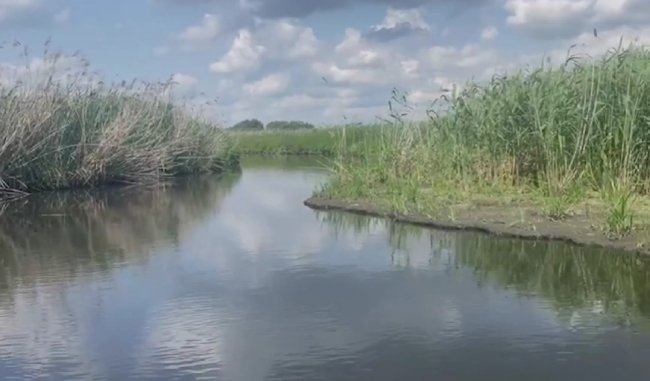 Хочуть захистити унікальні рівненські плавні