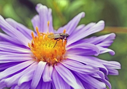 І сьогодні на сході та на південному сході збережеться сильна спека