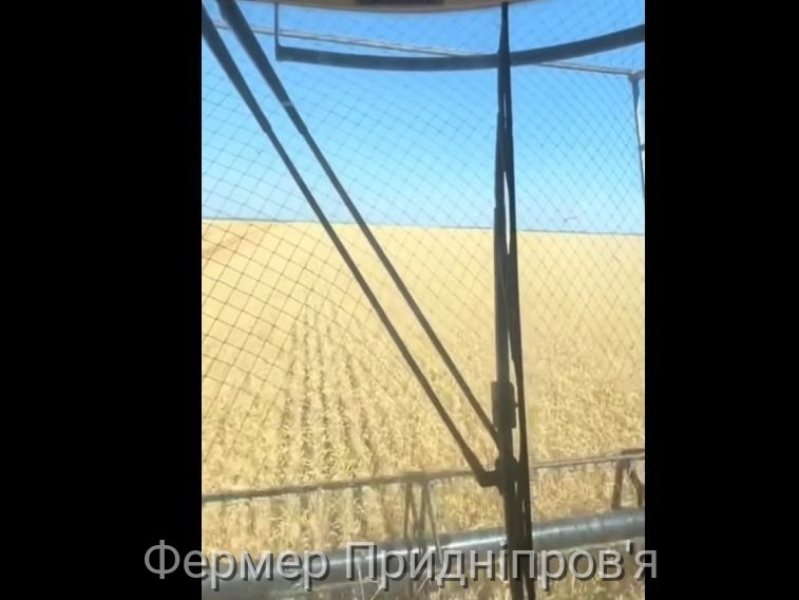 Якою ціною аграрії Дніпропетровщини збирають хліб?