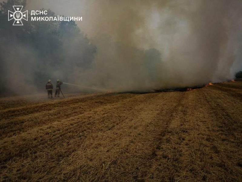 Масові займання на півдні: на Миколаївщині сталось 30 пожеж за добу, - ФОТО