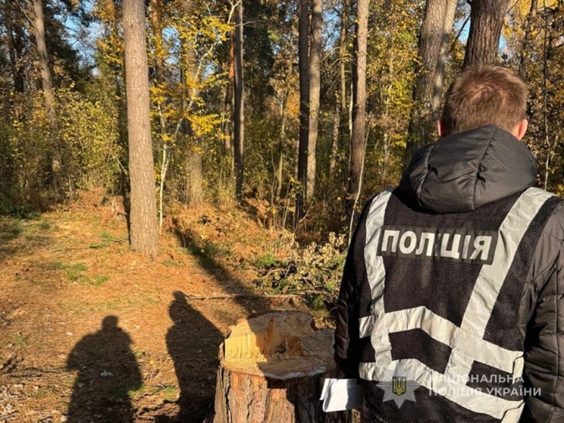 На Конотопщині троє людей відповідатимуть за загибель працівника під час заготівлі деревини