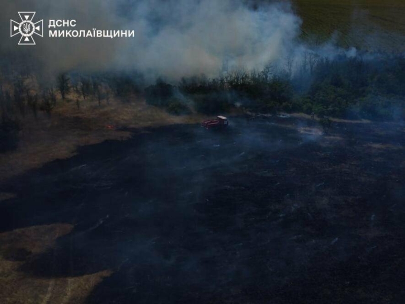 На Миколаївщині сталось 38 пожеж: горіло все, - ФОТО