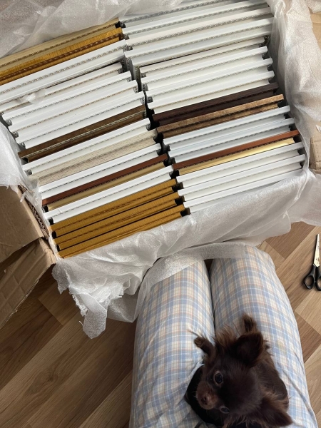 &ldquo;Приємно бачити емоції від картин&rdquo;: як Марія Устимчук малює домашніх улюбленців з України та всього світу