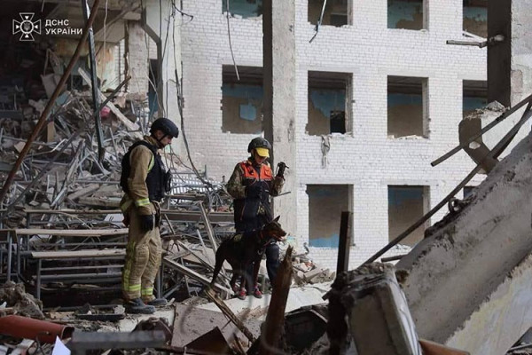 Про людяність: у Павлограді важкохвору собаку-рятувальницю адміністрація вигнала з парку